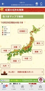 kouyou_01_IMG_7147.jpg