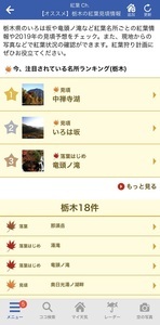 kouyou_02_IMG_7148.jpg